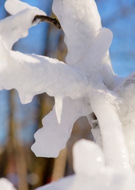 Icy Tree Abstract Vertical