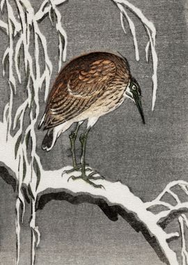 Bird on snowy tree woodcut