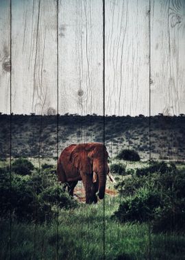 Elephant Art