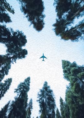 Plane Above Forest