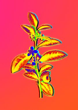 Neon Flowers Illustration