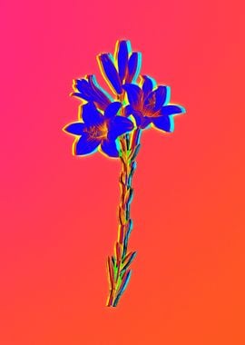 Neon Blue Botanical Pink