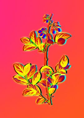 Neon Floral Illustration