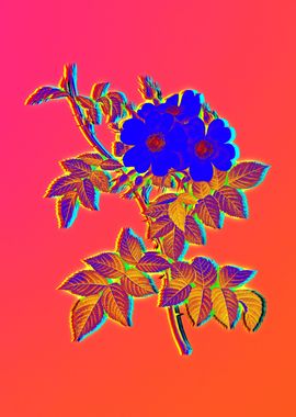 Neon Florals Illustration