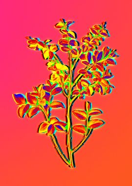 Neon Flower Illustration