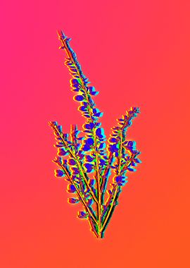 Neon Flower Illustration