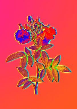 Neon Botanical Drawing