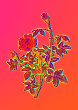 Neon Botanical Drawing