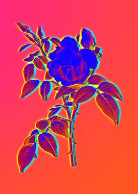 Neon Floral Illustration