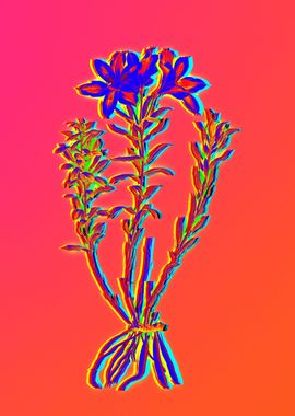 Pink Neon Blue Botanical