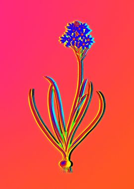 Neon Floral Illustration