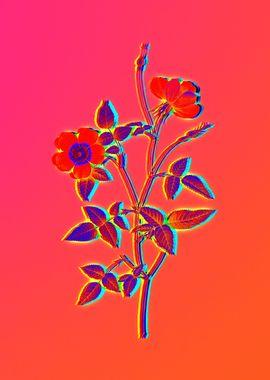 Neon Botanical Drawing