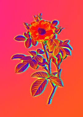 Neon Flowers Illustration