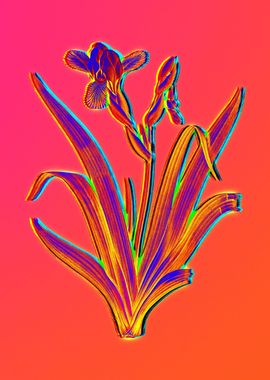 Neon Botanical Drawing