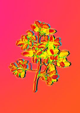 Neon Floral Illustration