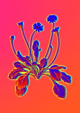 Neon Floral Illustration