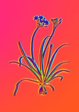 Neon Flower Illustration