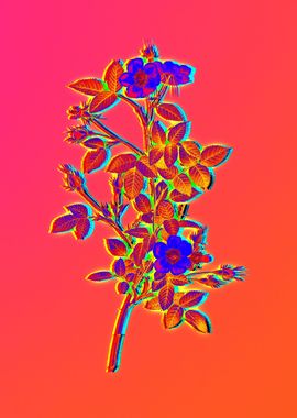 Pink Neon Pop Art Flower