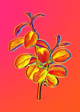 Neon Botanical Drawing