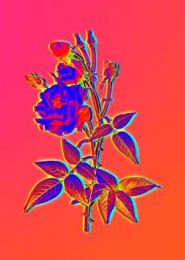 Neon Flowers Illustration