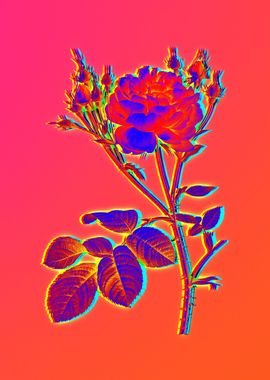 Neon Flower Illustration