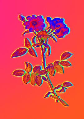 Neon Blue Floral Drawing