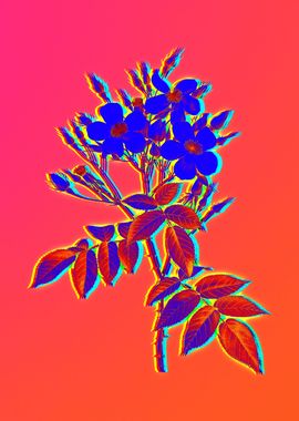 Neon Botanical Drawing