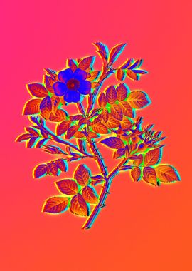 Neon Botanical Drawing