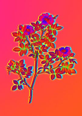 Neon Flowers Illustration