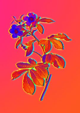 Pink Neon Rainbow Floral