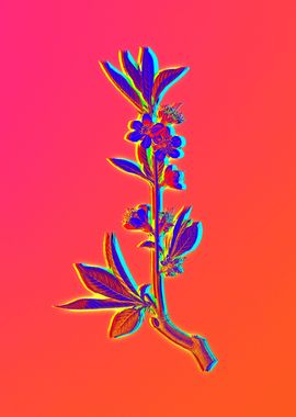 Neon Flower Illustration