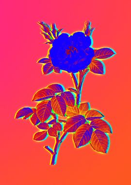 Neon Florals Illustration