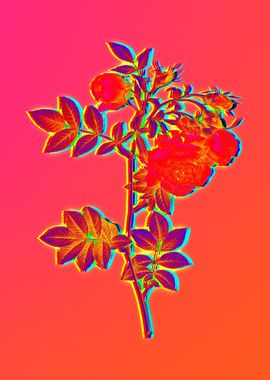 Neon Florals Illustration