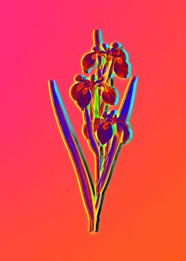 Neon Florals Illustration