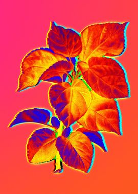 Neon Flower Illustration