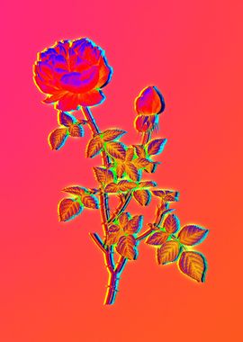 Neon Flower Illustration