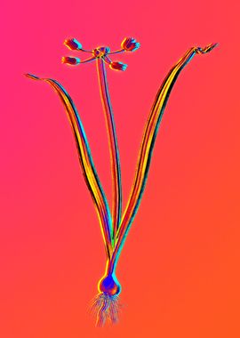 Neon Flower Illustration