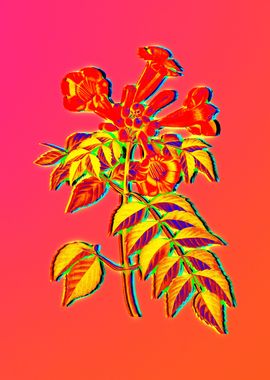 Neon Floral Illustration