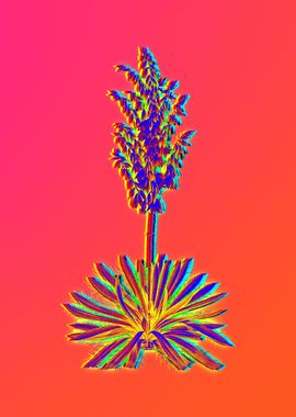 Neon Flowers Illustration