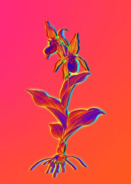 Pink Neon Blue Botanical