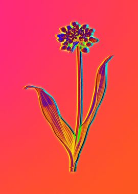 Neon Floral Illustration