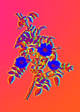 Neon Flowers Illustration