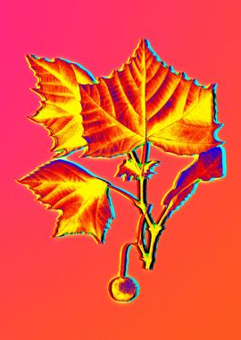 Neon Floral Illustration