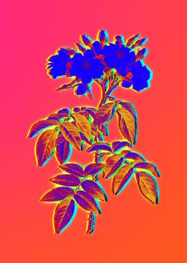 Neon Botanical Drawing