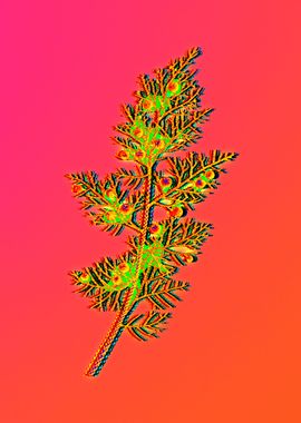 Neon Floral Illustration