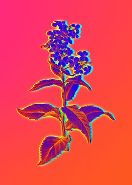 Neon Flowers Illustration