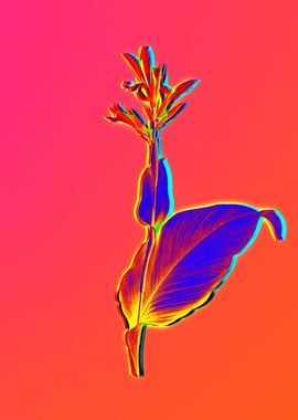 Neon Botanical Drawing