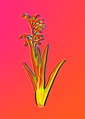 Neon Floral Illustration