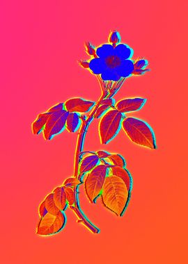 Neon Botanical Drawing