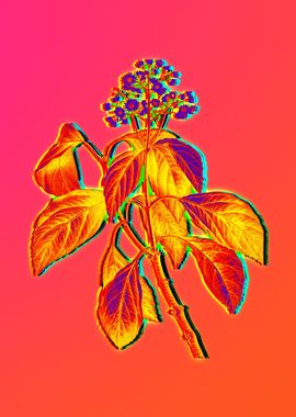 Neon Botanical Flowers